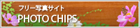 フリー写真サイト PHOTO CHIPS